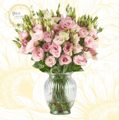 FLORERO LISINATHUS""