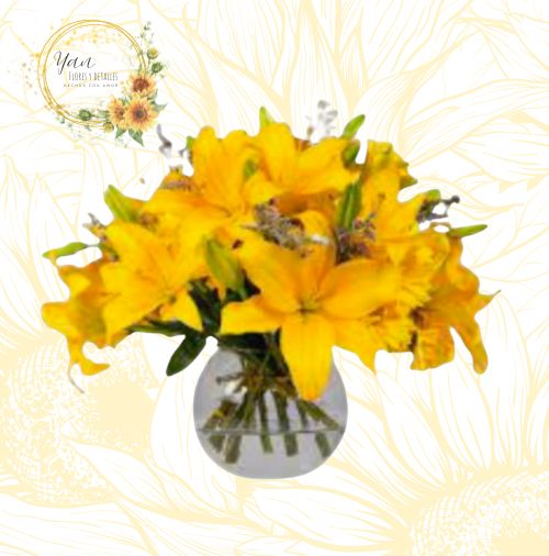 "PECERA LILUMS