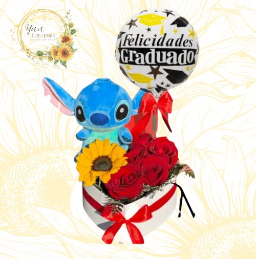 BOX STICH