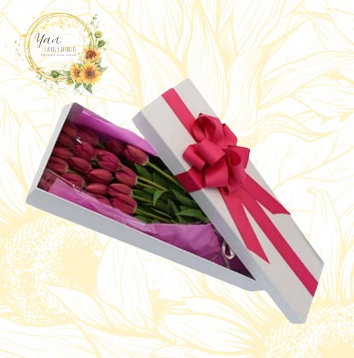 CAJA DE 10 TULIPANES"